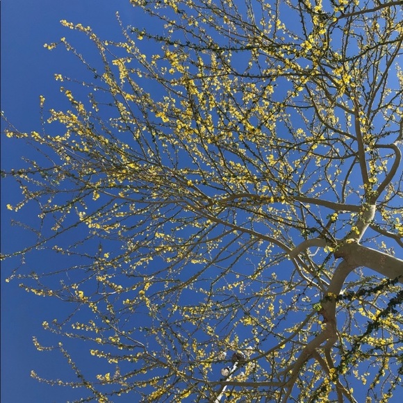 Welcome - Picture 8 of 14